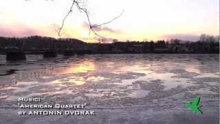 The Delaware River - January 2013