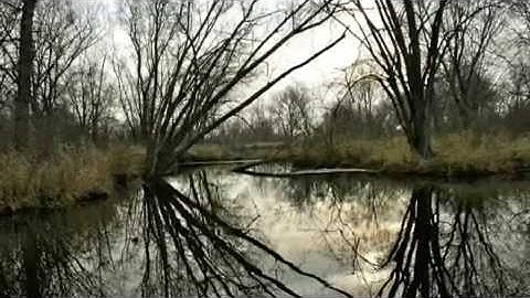 Walt Whitman in 1989