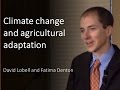 Climate change and agricultural adaptation