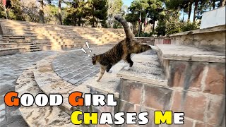 My good girl wants to play and chase me where ever i go by Cats Land 82 views 3 months ago 4 minutes, 12 seconds