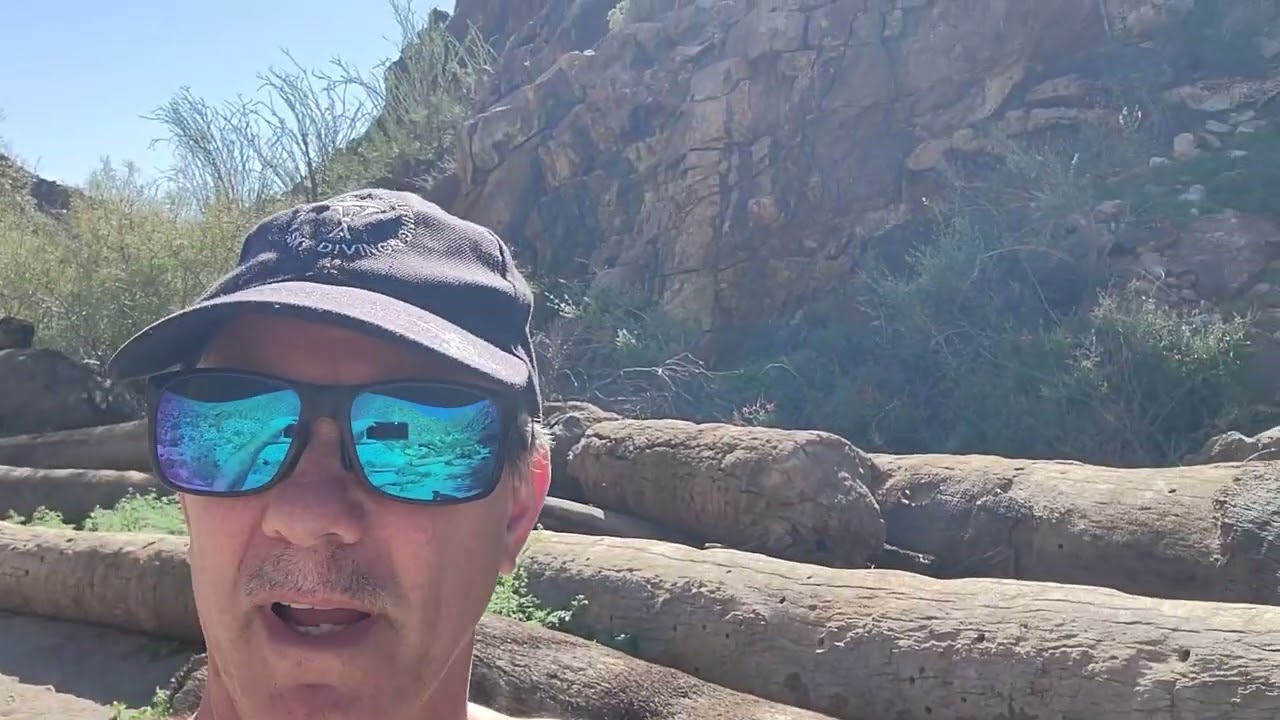 Exploring Palm Canyon Hike