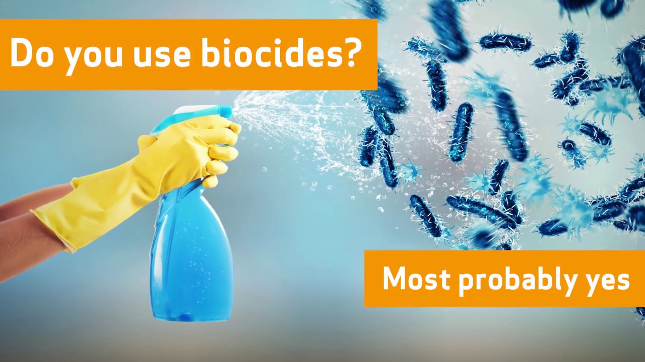 Easier access to information on biocides - YouTube