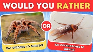 How Would You Decide? The Ultimate ‘Would You Rather’ Challenge | Probe Quest |