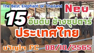 🚩New❗️อัพเดทใหม่ 15 อันดับ❗️ ช้างซุ๊ปตาร์ประเทศไทย⁉️ #elephants #elephantthailand #หมู่บ้านช้าง