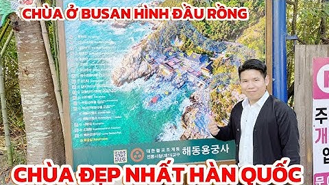Lạc vào chùa Hải Long ở Busan – Nơi biển xanh ôm trọn linh thiêng | Thi Hàn Quốc 
