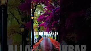  Allah Subhana Watalaquranquranictranslationloveislamytshortsshortsshorturdu