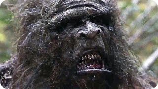 Bigfoot Tried To Break Into My House!