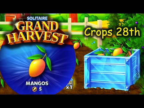 SGH E587 ~ 591 = Harvesting Mangos - 28th Crop section ends. (Solitaire Grand Harvest)