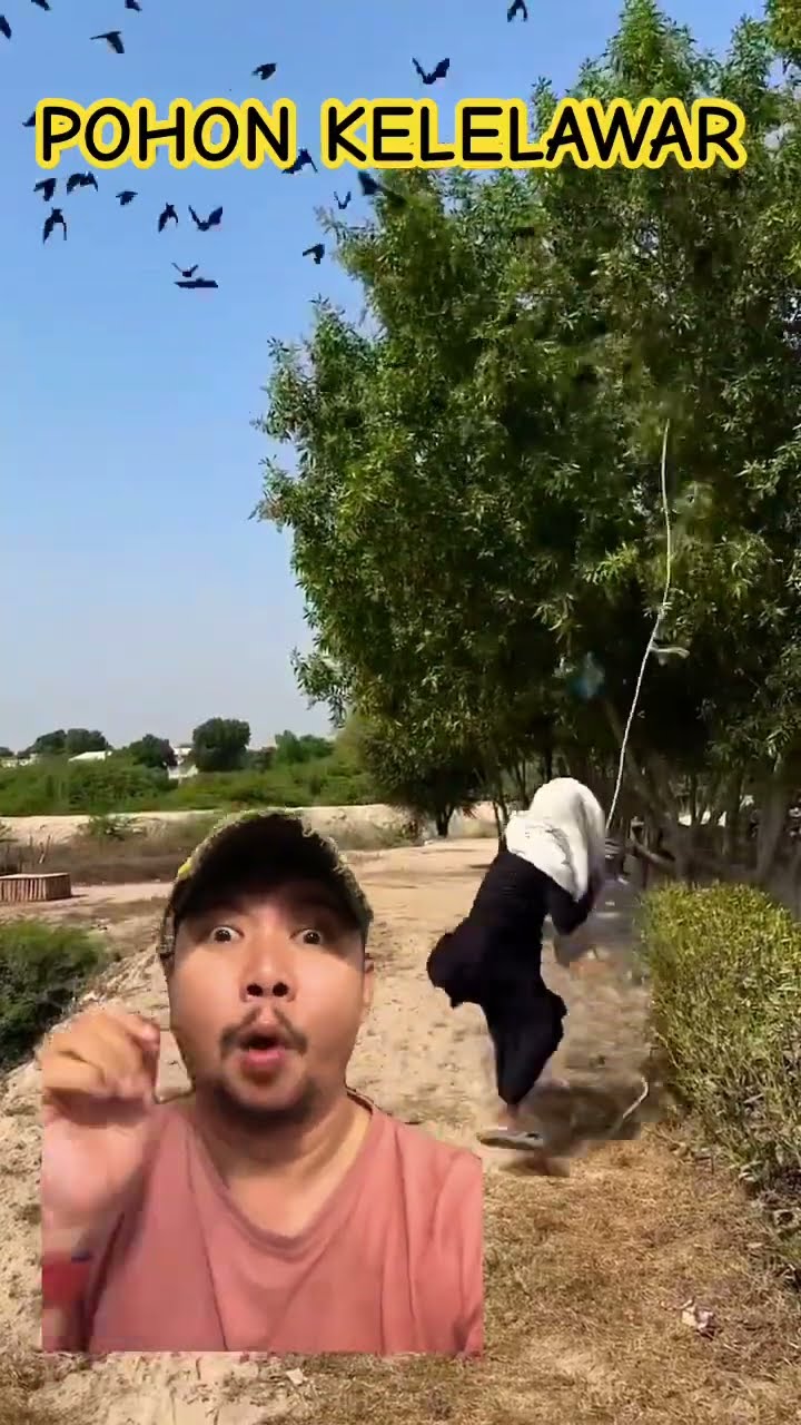 HUNTING KELELAWAR DI POHON!!!??#shortsfeed #shorts #funny
