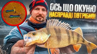 видео: Ось Що Зараз Насправді Потрібно Окуню! картинка: Ось Що Зараз Насправді Потрібно Окуню!