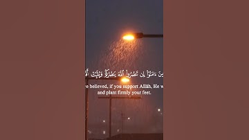 إِن تَنصُرُوا اللَّهَ يَنصُرْكُمْ وَيُثَبِّتْ أَقْدَامَكُم🌕 #القارئ_احمد_جلال_المصرى