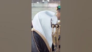 نور على نور ۗ يهدي الله لنوره من يشاء ۚ ~ الشيخ ياسر الدوسري -التلاوة كاملة بالوصف