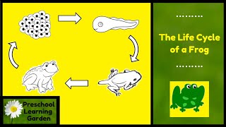 The Life Cycle of a Frog, Preschool educational video