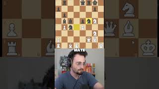 Levy Gothamchess 0426 5