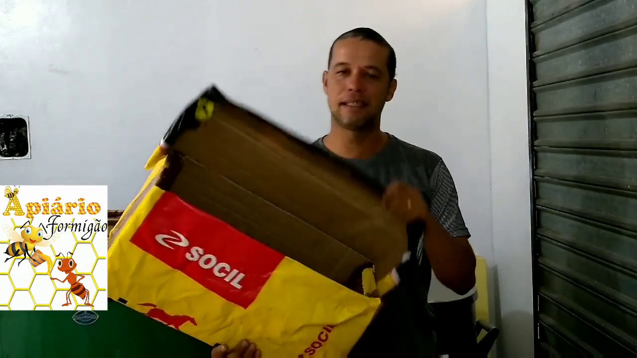 Caixa Isca Para Abelhas De Papelão Como Fazer Caixa Isca De Papelao Impermeavel Facil Barato Economico E Eficaz Youtube