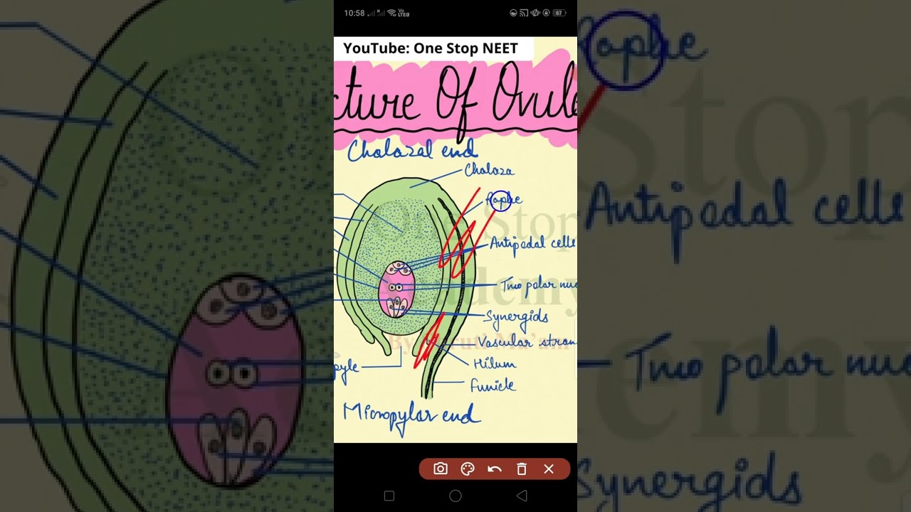 important ncert points to remember - YouTube