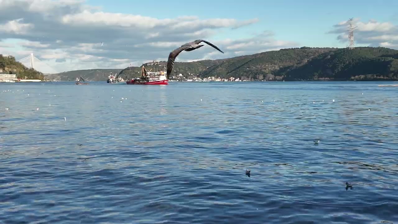 In the core of Istanbul Bosphorus- True Serenity