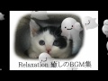 「悪女」　中島みゆき MusicBox