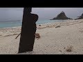 海に数年放置された刃こぼれ真っ黒錆び包丁を研ぐ