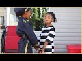 Help! A Thief Stole My Purse | Go To Jail! Kids play cops & Robbers