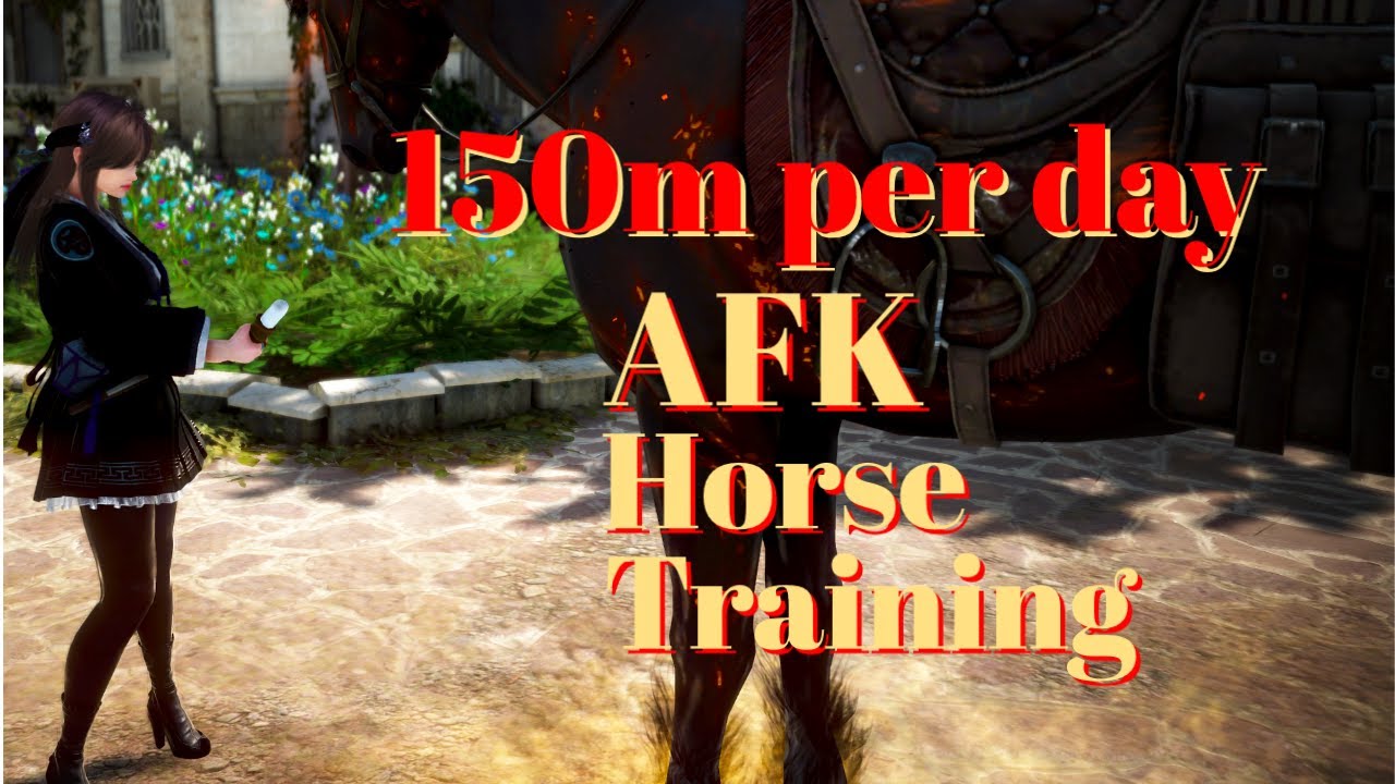 BDO 2023 AFK horse training (150m / night) YouTube