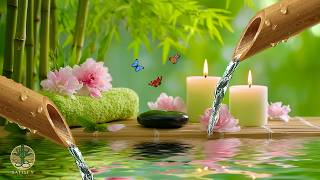 Soothing Relaxation Music + Healing Water Sounds 🍃 Deep Sleep, Ease Overthinking, Relieves Stress screenshot 5