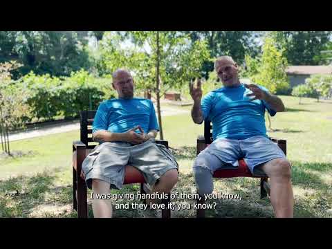 वीडियो: व्यसन वसूली के लिए बागवानी - बागवानी के साथ व्यसन में मदद