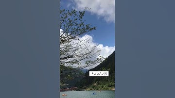 سورة غافر القارئ علي جابر🤍#القرآن_الكريم#علي_جابر#سورة_غلغر