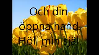 Jag saknar dig ibland- Ainbusk lyrics