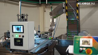 [FOR SALE] Ruian Furi Cap Liner Inserting Machine