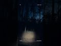 Nocą w lesie moim Jimnym !!
