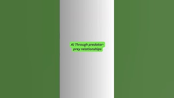 How Do Ecosystems Maintain Balance?