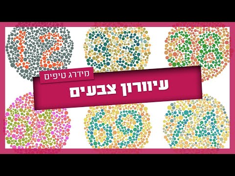 וִידֵאוֹ: 7 חטאים קטלניים של מיגל גרייס