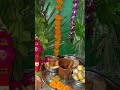 Krishna Janmastami #janmastami #khatushyam