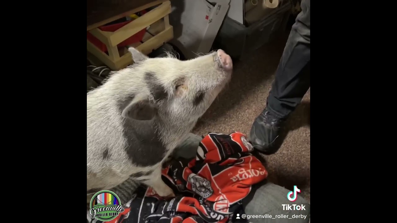 Weekend at the SC PUNK FLEA MARKET!