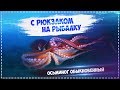 Русская Рыбалка Installsoft Edition 3.7.6 Мадагаскар - КВ Осьминог обыкновенный