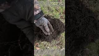 I Was NOT Expecting THIS !!! #metaldetecting #shorts