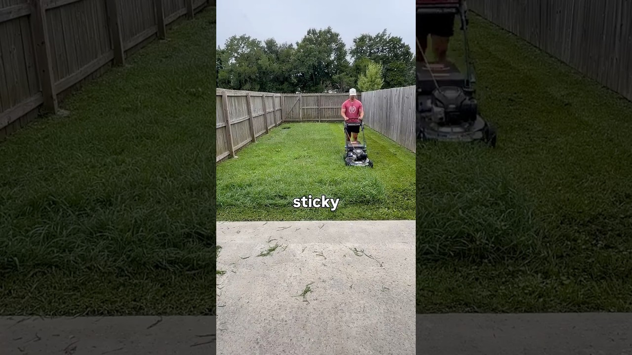 I felt bad #lawncare #work #dclawncare #lawn #mowing #storytime