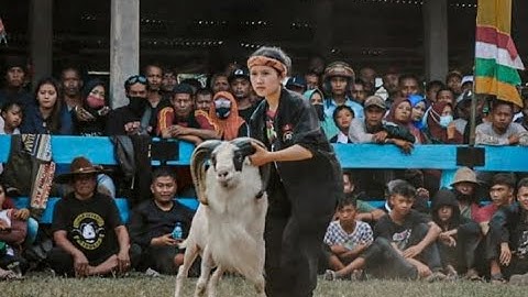 lanay aku lanay bajidoran