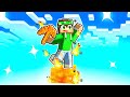 MINECRAFT MA SONO SU UNA LAVA!