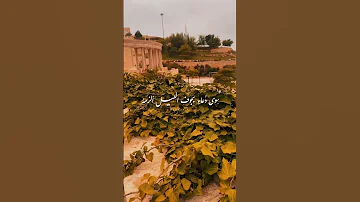 مالي ملاذ تذود عنده المحن نشيد حالات واتس حالات بدون موسيقى 