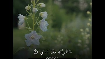 مقام الكرد | بصوت القارئ مصطفى الحساني | سورة الأعلى كاملة طور مصري