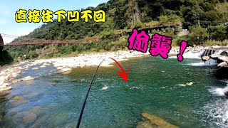 一日竿EP4-苗栗溪潭就是有大物，被魚電了…