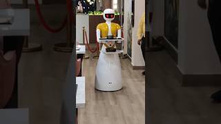 Information RUBY The robot..🔥🔥🔥😎😎#yellow house#ruby#Robot#shorts feed#Youtube shorts#viral videos#trending short News