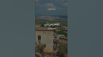 سورة آل عمران #لايك #اكسبلور #الرحمن #القران_الكريم #دويتو