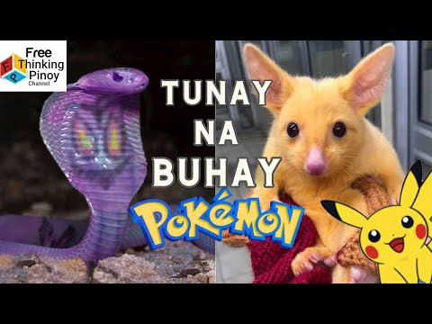 Ito ang mga REAL LIFE POKEMON na nakita ng mga tao | 9 Pokemon Caught