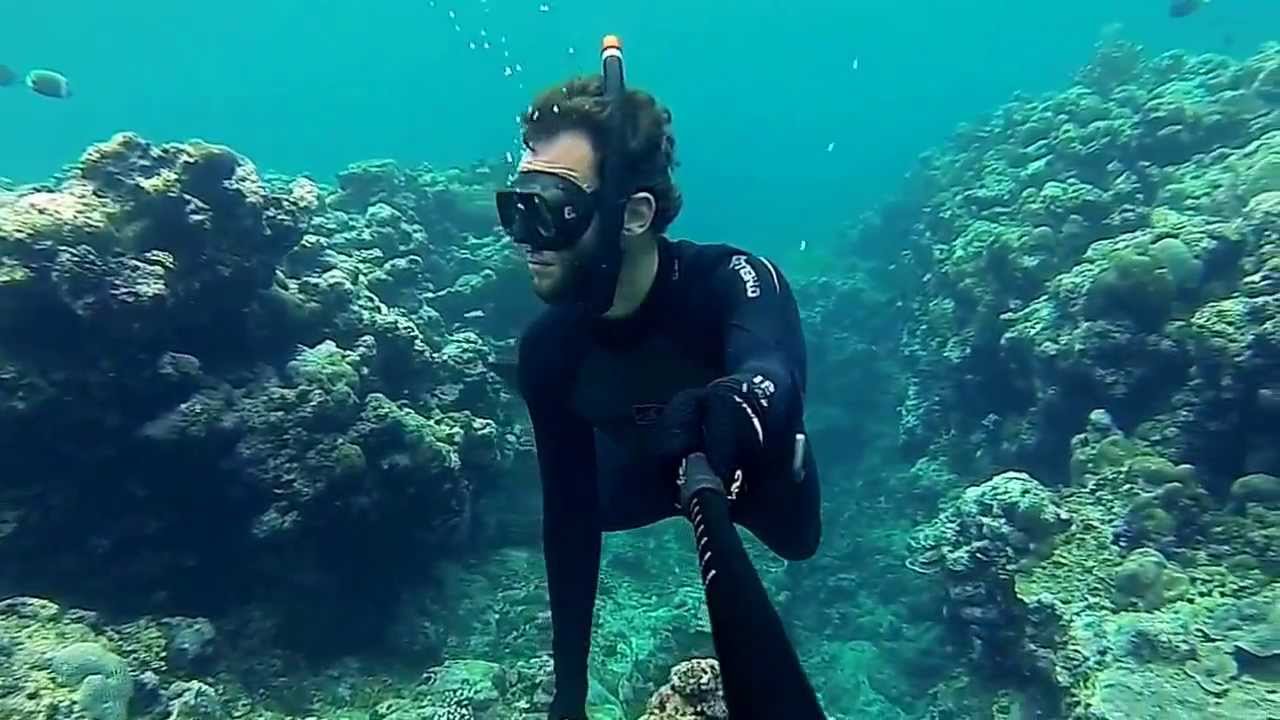 Diving Palau - Pelelui Island - YouTube