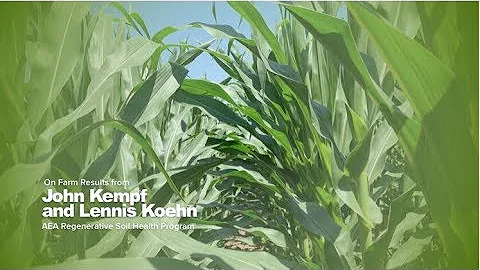 Increased Yield and Nitrogen Efficiency with the Regenerative Soil Primer