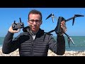 SJRC F11 - Un DRONE PIEGHEVOLE ECONOMICO con GPS e GRANDE AUTONOMIA! Ma la CAM..  - Recensione ITA