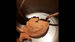making soft buns with "rommelkruid" its a mix of sandalwood mace cinnamon anise #softbun screenshot 5